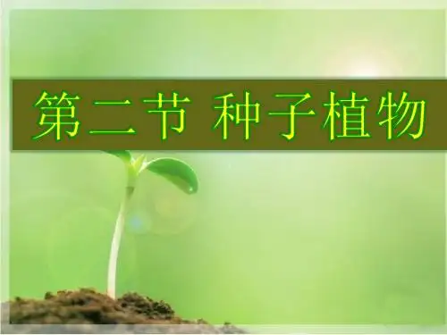 人教版_ 七年级上册_第三单元第一章 第二节 种子植物(29张PPT)(共29张PPT)