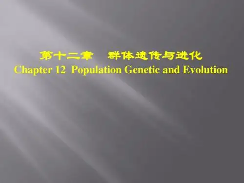 群体遗传学-PPT课件