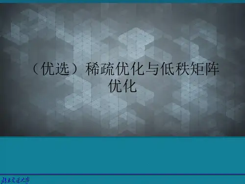 (优选)稀疏优化与低秩矩阵优化