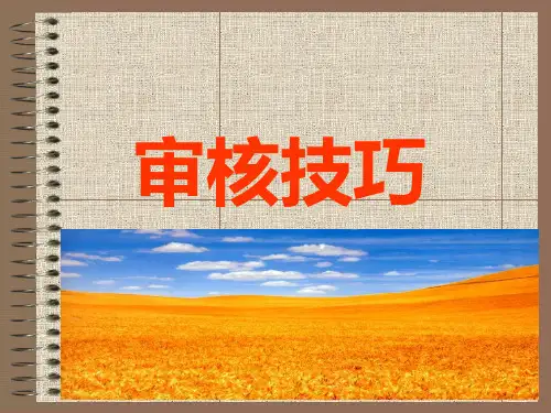 最新审核技巧PPT课件
