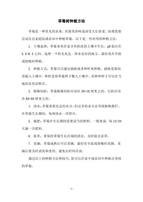 草莓树种植方法