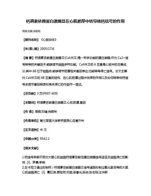 钙调素依赖蛋白激酶Ⅱ在心肌肥厚中转导核钙信号的作用