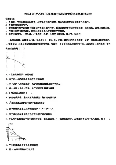 2024届辽宁沈阳市东北育才学校联考模拟训练物理试题