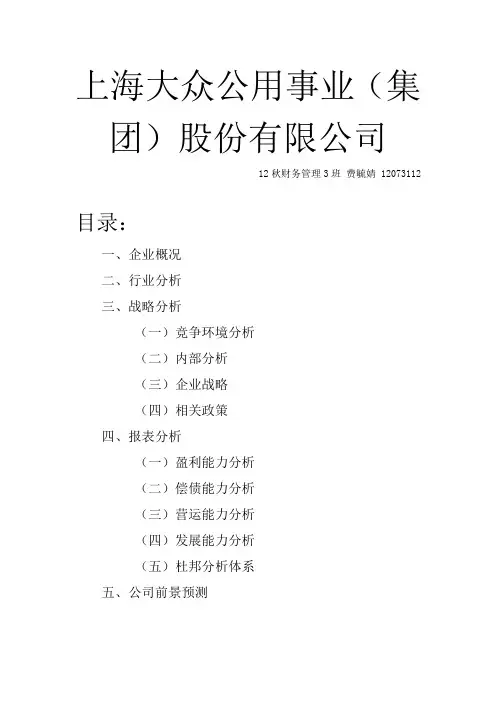 上海大众公用事业