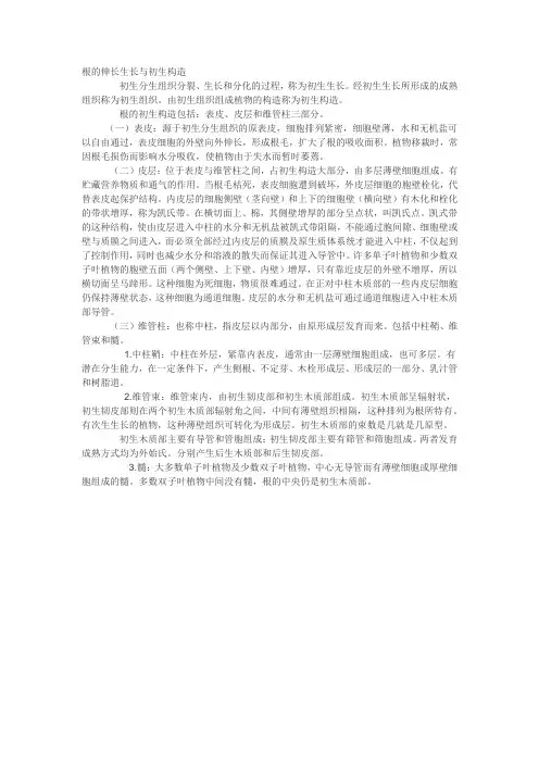 根的伸长生长与初生构造