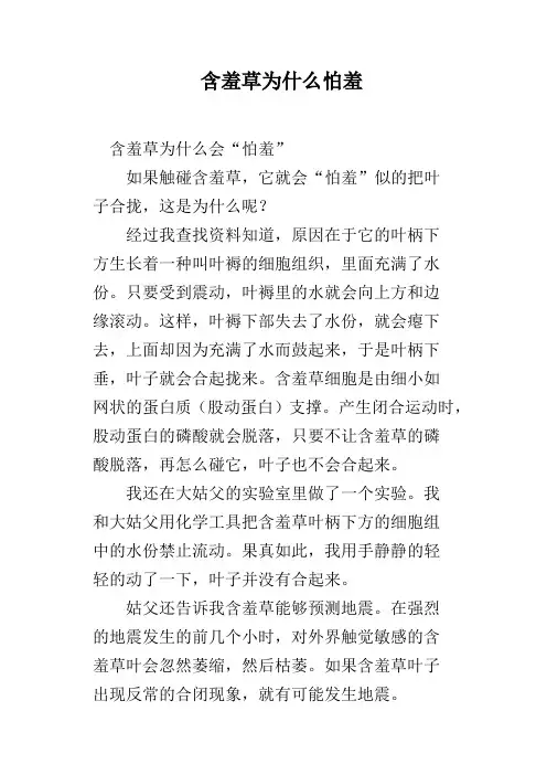 含羞草为什么怕羞