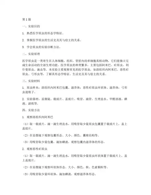 医学原虫的实验报告(3篇)