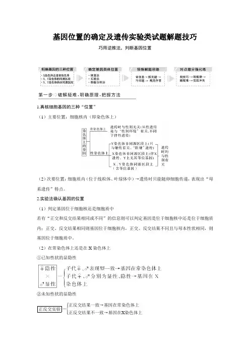 基因位置的确定及遗传实验类试题解题技巧