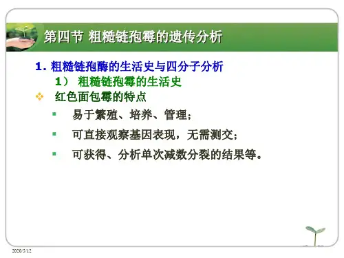 第四章连锁与交换定律2