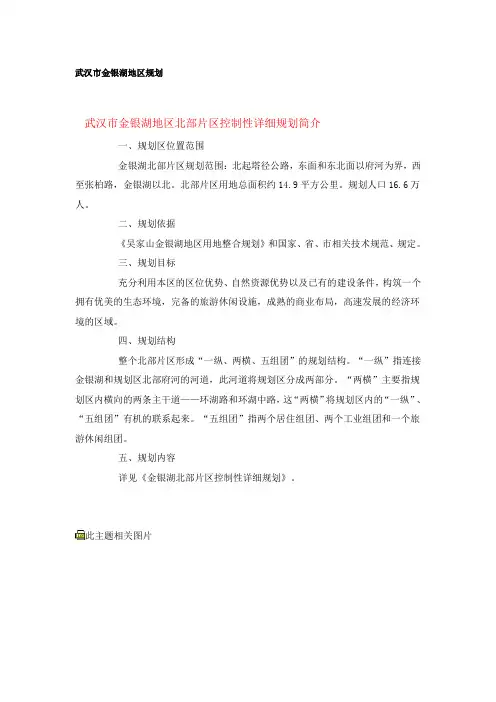 武汉市金银湖地区规划