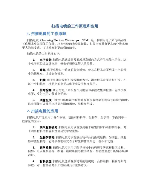 扫描电镜的工作原理和应用