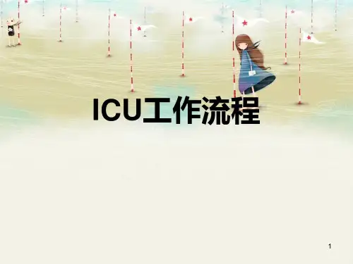ICU工作流程