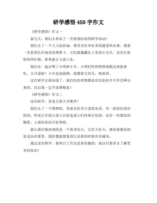 研学感悟450字作文