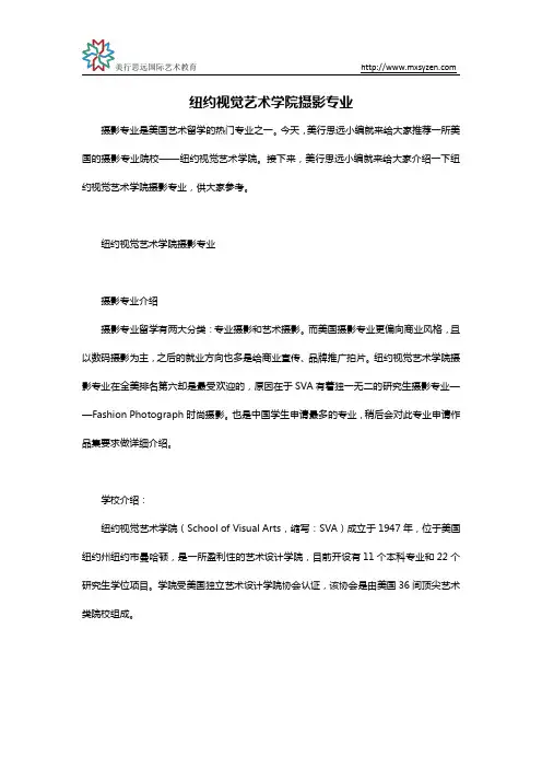 纽约视觉艺术学院摄影专业