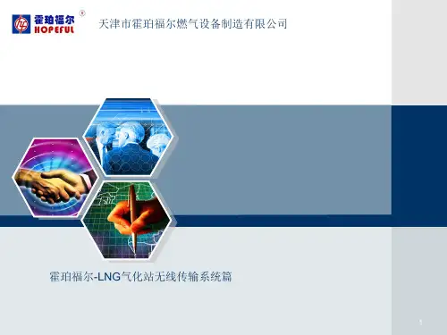 霍珀福尔-无线传输系统