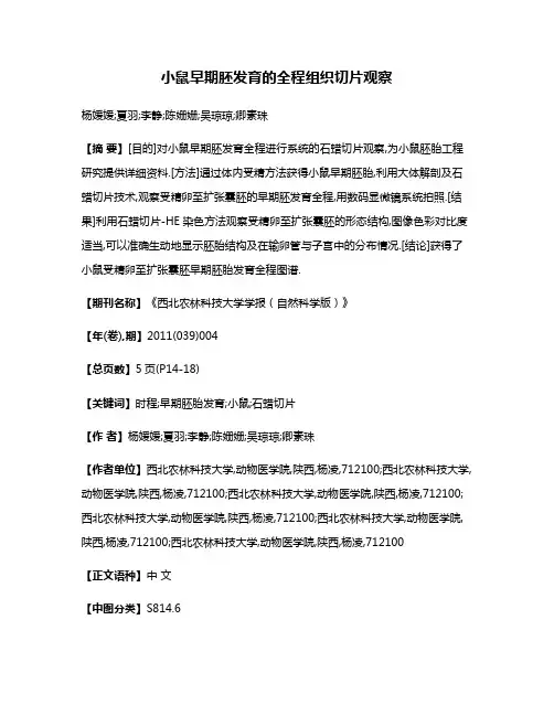 小鼠早期胚发育的全程组织切片观察