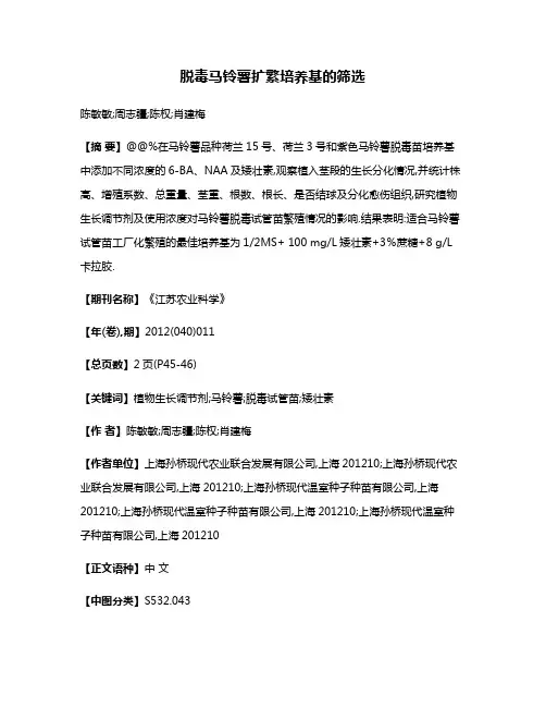 脱毒马铃薯扩繁培养基的筛选