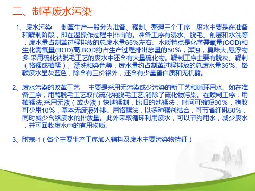 制革行业的清洁生产ppt课件