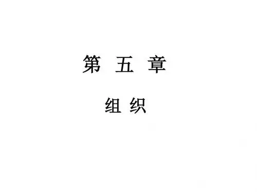 第五章 组织职能