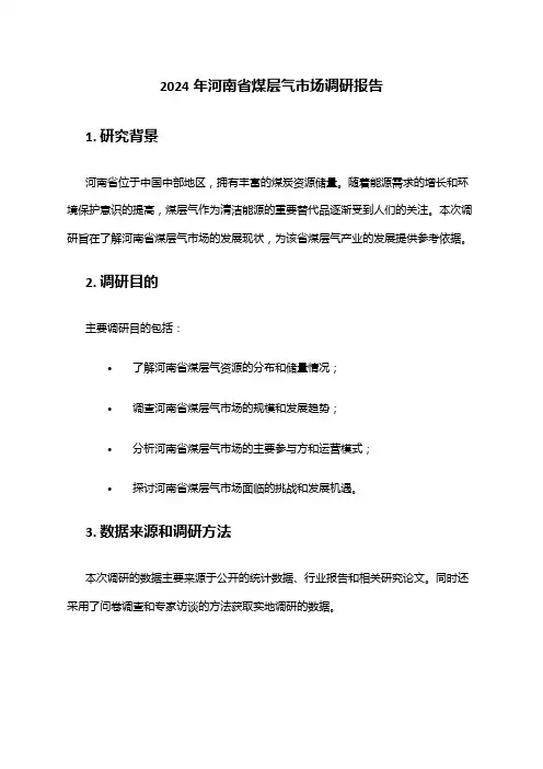 2024年河南省煤层气市场调研报告