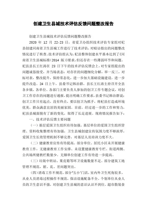 创建卫生县城技术评估反馈问题整改报告