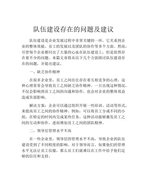 队伍建设存在的问题及建议