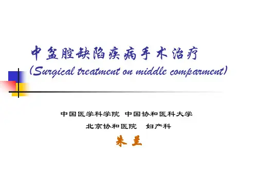 张力性尿失禁的临床与基础研究ppt课件_1
