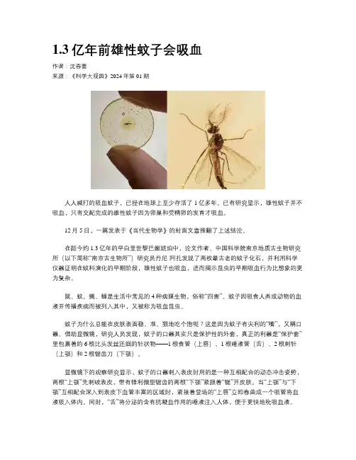 1.3亿年前雄性蚊子会吸血