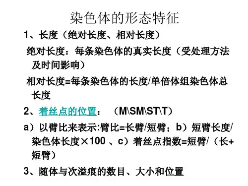 染色体的形态特征及核型作业