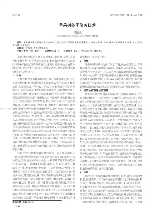 苹果树冬季修剪技术