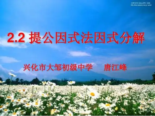 2.2 提公因式法因式分解(北师大版)
