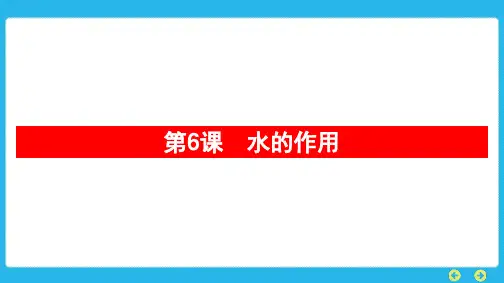 教科版科学五年级上册 第二单元 地球表面的变化第6课 水的作用