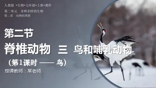 人教版七年级生物上册2.2.2《脊椎动物-鸟和哺乳动物》第1课时