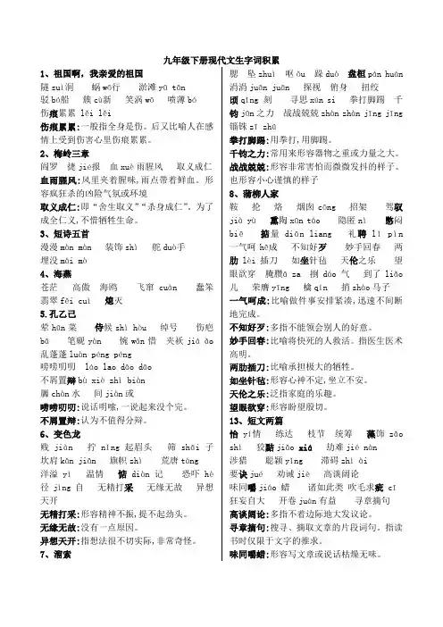 九年级下册现代文读读写写注音及重点词语解释【2021部编版】