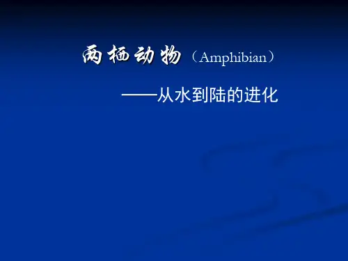 动物生物学-两栖动物
