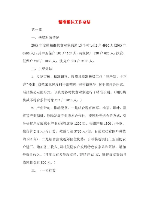 2019年精准帮扶工作总结