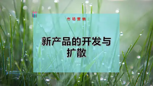 新产品的开发与扩散