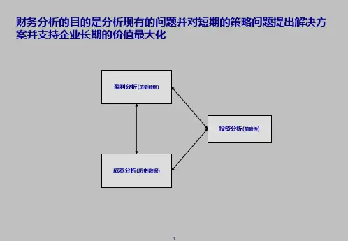 KPMG财务分析培训23页PPT