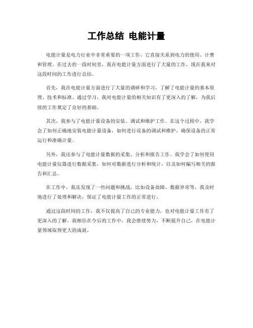 工作总结 电能计量