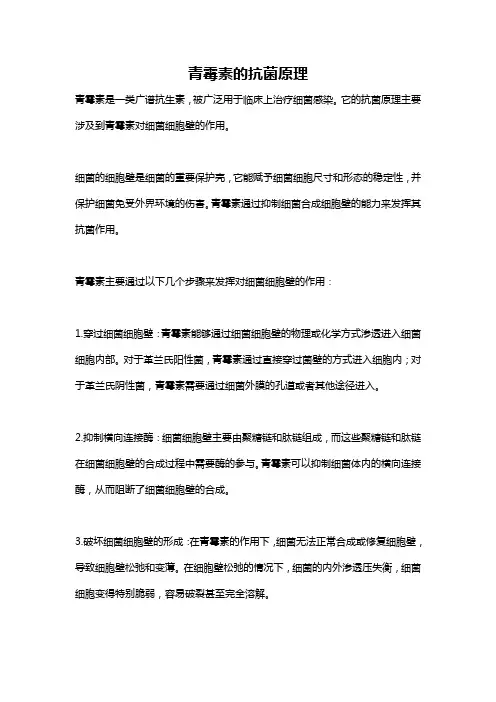 青霉素的抗菌原理