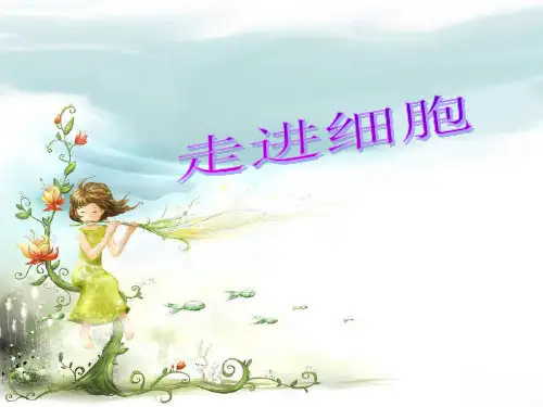 走进细胞-一轮复习ppt课件