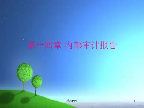 《内部审计报告》PPT课件