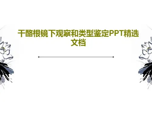 干酪根镜下观察和类型鉴定PPT精选文档共28页