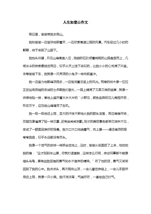 人生如登山作文