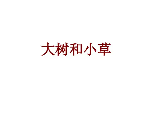 大树和小草