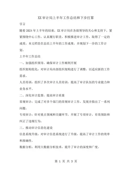 xx审计局上半年工作总结和下步打算