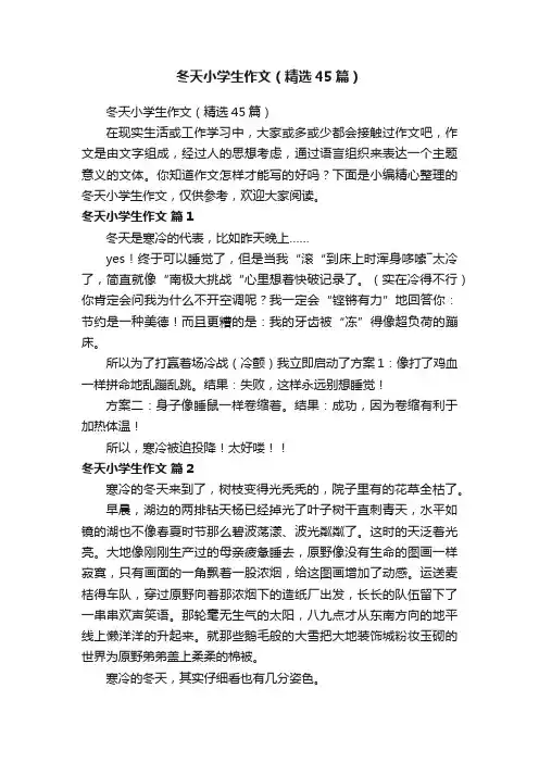 冬天小学生作文（精选45篇）