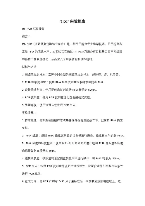 rt pcr实验报告