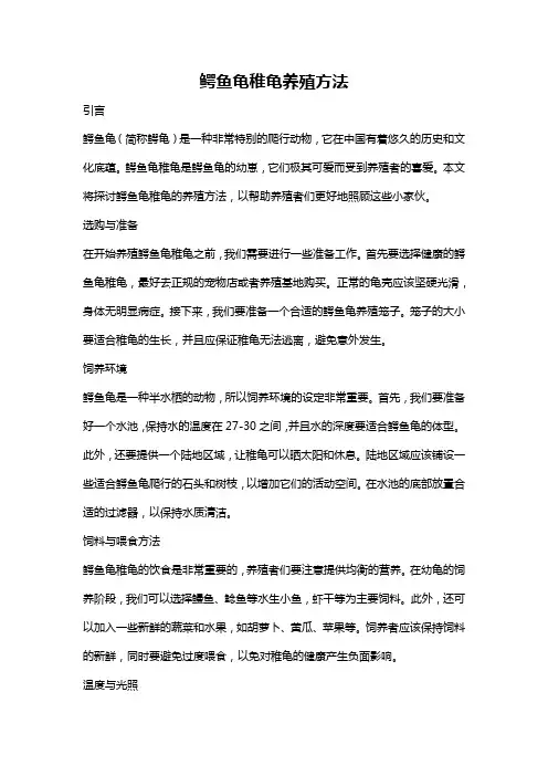 鳄鱼龟稚龟养殖方法