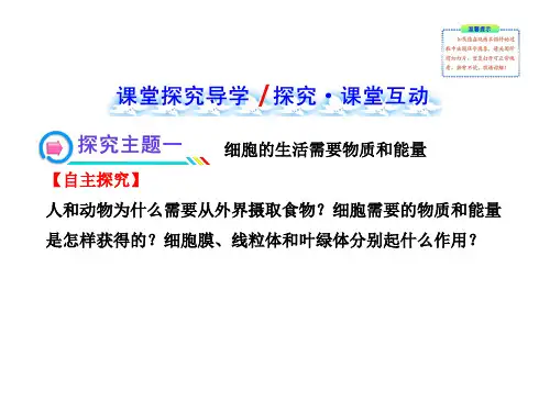 78第一章第四节细胞的生活共13张PPT